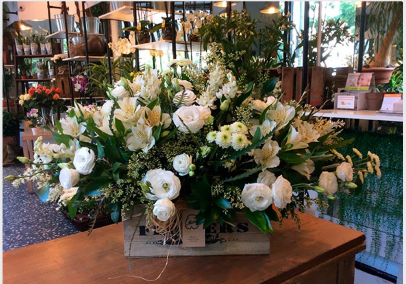 cesta flor blanca