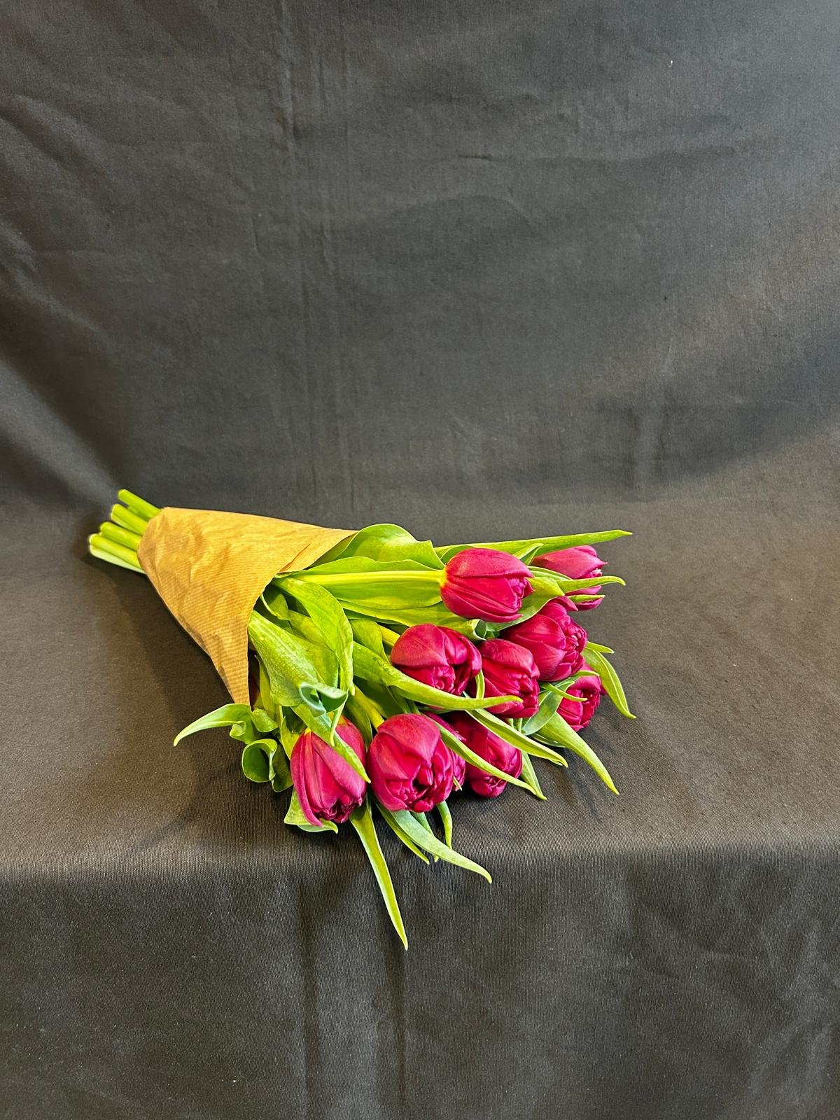 Tulipán rojo