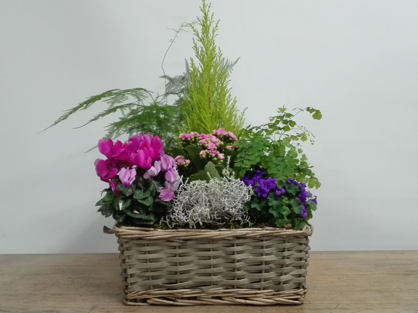 cesta de plantas